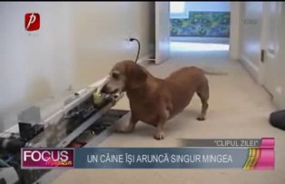 Clipul zilei: un câine îşi aruncă singur mingea