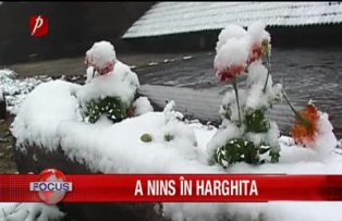 A nins în Harghita