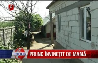 Prunc învineţit de mamă