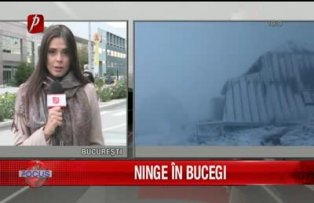 Ninge in Bucegi