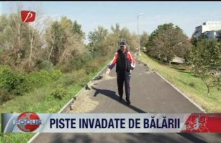 Piste invadate de balarii