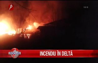 Incendiu in Delta