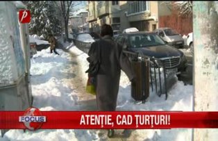 Atentie cad turturi