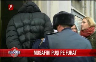 Musafiri pusi pe furat