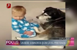 Clipul zilei: un bebe somnoros si un catel prietenos