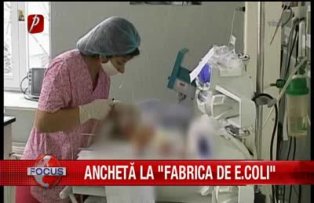 Anchetă la "fabrica de e.coli"