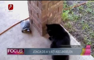 Clipul zilei: joaca de-a v-aţi ascunselea