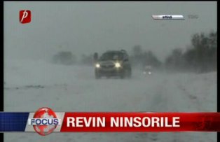 Revin ninsorile