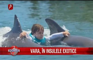 Vara in insule exotice