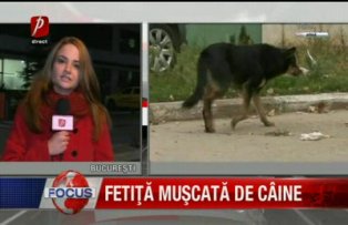 Fetita muscata de caine