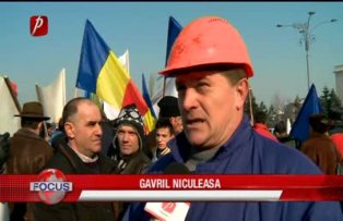 Lemnul samanta de scandal