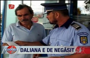 Daliana e de negasit