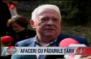 Afaceri cu padurile Tarii