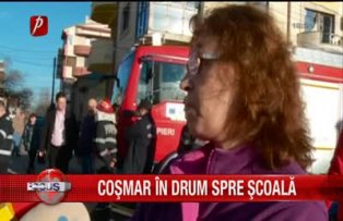 Cosmar in drum spre scoala
