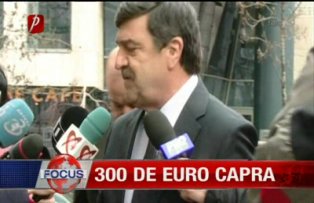 300 de euro capra