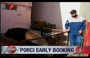 Porci cu early-booking