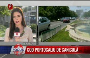 Cod portocaliu de caniculă