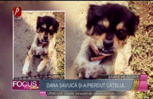 Dana Săvuică şi-a pierdut căţelul