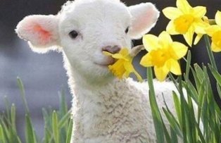 Prognoza meteo pe doua saptamani: Cum va fi vremea de Pastele Catolic