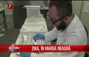 Zika, în Marea Neagră