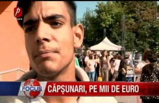 Căpşunari, pe mii de euro