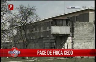 Pace de frica CEDO