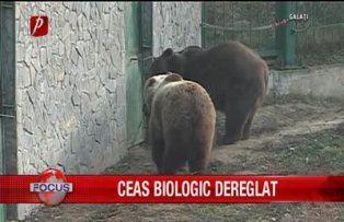 Ceas biologic dereglat