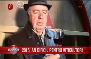 2015 an dificil pentru viticultori