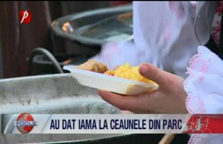 Au dat iama la ceaunele din parc