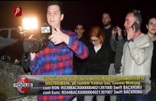 Bobo a ajuns in Belgia