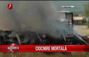 Ciocnire mortala