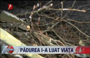 Padurea i-a luat viata