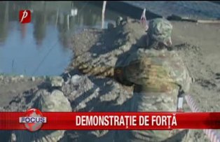 Demonstratie de forta