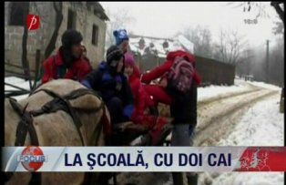 La scoala cu doi cai