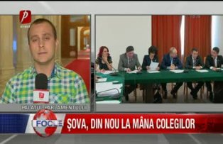 Sova din nou la mana colegilor