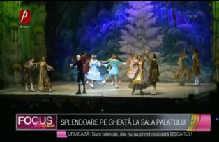 Splendoare pe gheaţă la Sala Palatului