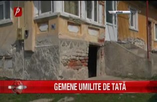 Gemene umilite de tata