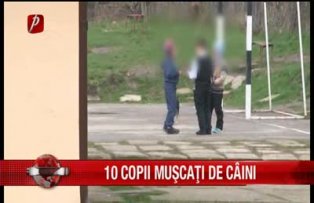 10 copii muscati de caini