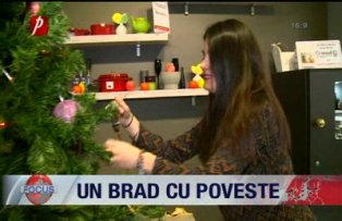Un brad cu poveste