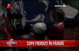 Copii pierduti in padure