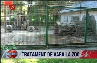 Tratament de vară la Zoo