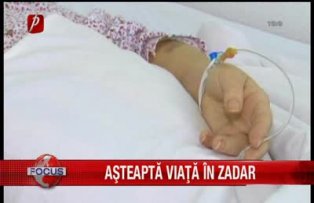 Asteapta viata in zadar