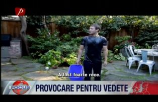 Provocare pentru vedete