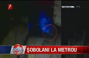 Sobolani la metrou