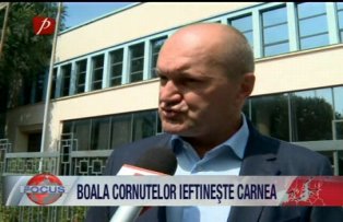 Boala cornutelor ieftineste carnea