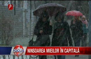 Ninsoarea mieilor in capitala