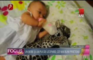 Clipul zilei: un bebe şi un pui de leopard, cei mai buni prieteni!