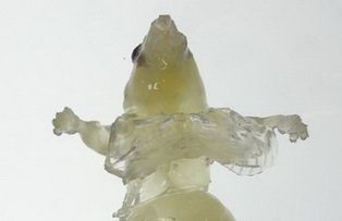 Cercetătorii Centrului de Biologie Riken au creat şoareci invizibili. Vezi cum arată ciudatele rozătoare!