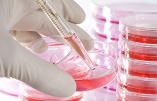 Cauzele mai putin stiute ale hepatitei