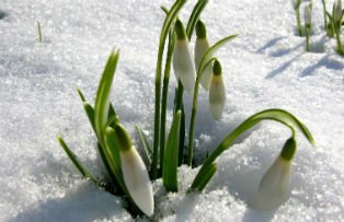 Vremea se raceste din nou. Prognoza meteo pentru weekend, luni si marti